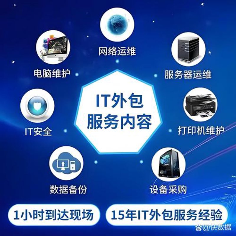 上海软件开发：推动城市数字化转型的关键力量